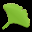 Gingko
