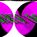 Majsoul Plus